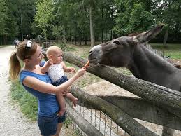 Hier findet ihr den perfekten hochzeitsspruch. Videobotschaft Der Patentiere Zur Hochzeit Tierpark Stadt Haag