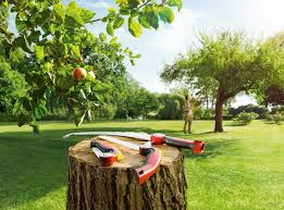 Wolf creek pole saw pt75 manuals (1 documents found): Wolf Garten Profi Astsage Multi Star Profi Astsage Power Cut Saw Pro 370 Rot Amazon De Baumarkt
