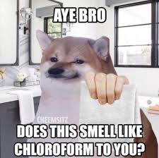 This comes from the small amount of sulfur that is present in the fuel. Ayebro Does This Smell Like Chloroform To You2