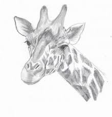 Apprendre à dessiner facilement étape par étape une girafe. Pin On Connie Lowery