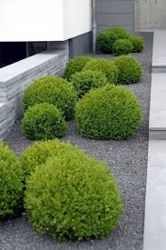 58 Beautiful Ideas For Backyard Landscaping On A Budget For You Low Maintenance Landscaping Front Yard Front Yard Landscaping Design Backyard Landscaping