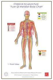 classical acupuncture yuan qi body 6 charts single series small 92 x62cm