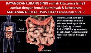 Ini pengalaman jana sendiri.bila jumpa orang mesti orang akan tanya, ni yang nombor 3 ke?. Usus Ibarat Sinki Punca Perut Buncit