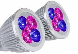Grow 5x faster than soil · garden year 'round · grow anything Best Cheap Grow Light 2021 Reviews