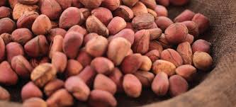 Kola Nut Dr Axe In 2020 Health Food Healthy Nuts Energy Level