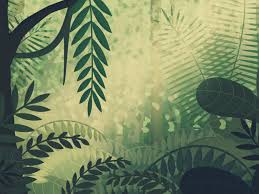 Amazon Jungle Tropical Illustration Jungle Illustration Jungle Tree