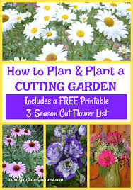 Pin On Gardening