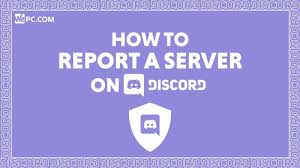 minecraft survival survival minecraft 1.17.1 minecraft survival survival minecraft server tulipsurvival is a super chill minecraft survival server with quality of life plugins to make your experience better. How To Report A Discord Server Wepc