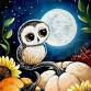 Whoo’s in the Pumpkin Patch at Beliveau Farm Winery event image