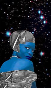 Image result for Afrosolen schimperi