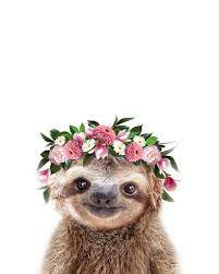 A baby sloth helps them this only ever happens if the bird is born in april this is called slothatisomistic. Baby Sloth With Flower Crown Baby Animals Art Print By Synplus Carry All Pouch By Synplus Small Baby Animal Art Cute Baby Sloths Cute Animals