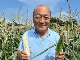 岩間駅周辺のその他果物・野菜狩りランキングTOP5 - じゃらんnet