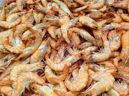 We did not find results for: Arti Mimpi Udang Lengkap Dengan Penafsirannya Detiklife