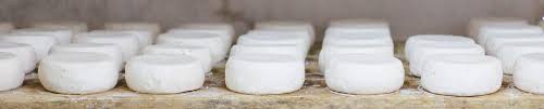 Depuis L Antiquite Les Grandes Etapes De La Fabrication Des Fromages De Chevre Sont Restees Globalement Les Meme Fabrication Fromage Fromage De Chevre Fromage