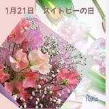 1月21日はスイトピーの日 | ショップニュース | プリコ垂水