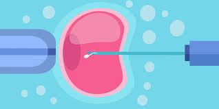 In manchen fällen einer ivf oder icsi bleiben blastozysten übrig, die nicht transferiert werden, um eine mehrlingsschwangerschaft zu vermeiden. Semen Analysis Test Near Me Iui Ivf Icsi Imsi Blastocyst Transfer Frozen Embryo Transfer Embryo Freezing Egg Freeing Sperm Freezing And Azoospermia Treatment