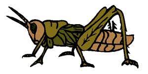 Cricket Sound Autoplay Crickets Chirping