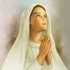 Sep 01, 2017 · aunque en todas las oraciones dedicadas a la virgen del carmen se encomienda la salud de los enfermos es esta la hecha especialmente para ellos, pues no se pide otro favor que no sea relacionado, con la salud o la enfermedad de alguna persona, o se hace una la oración pidiendo por todos los enfermos del mundo, para que les brinde sosiego a los dolores o decadencias que estén padeciendo. 1