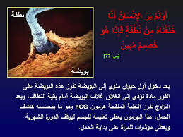 Check spelling or type a new query. ÙŠØ§ Ø§Ø¨Ù† Ø§Ø¯Ù… ÙˆÙ„Ø¯ØªÙƒ Ø§Ù…Ùƒ Ø¨Ø§ÙƒÙŠØ§