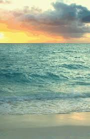 Aforismi del buongiorno, amici buongiorno, amore buongiorno, amore mio buongiorno, animali buongiorno, bimbi buongiorno, bimbi con il buongiorno, bimbi divertenti buongiorno, buongiorno. La Donna Del Mare Stella Blog Page 2