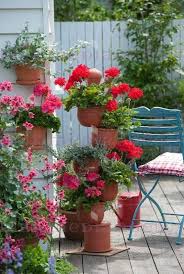 Pin Von Emmelie Auf Gorshochki I Banochki Pflanzen Haus Und Garten Geranien