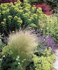 Don T Plan Just Plant Finegardening