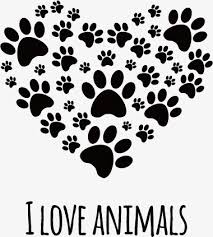 Resultado de imagen para amor a los animales