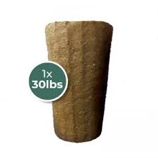 Image result for Gyrodoma hispida