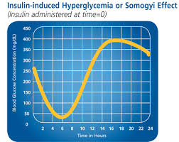 the somogyi effect and felines merck animal health