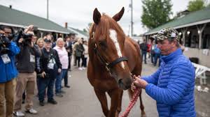 Whether you're in louisville bedecked. Rain At Kentucky Derby Means Those In The Infield Must Get Creative Lexington Herald Leader
