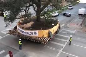 Weitere ideen zu sonntag, sonntagsgrüße, guten morgen sonntag. 0rvu 8qti1vusm