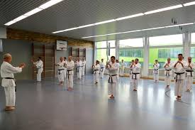 Forma) é uma palavra japonesa que descreve os padrões detalhado dos movimentos praticado tanto a solo ou em pares. Inhalte Des Karatetrainings Karate Sportverein Mainz E V