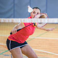 Badminton net, trgabrer badminton mesh training net, adjustable foldable knotless net 6.5 0.5 m, ideal for outdoor training garden, gym, park etc. Badminton Die Techniker