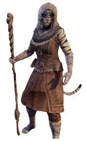 Show Your Khajiit Page 5 Elder Scrolls Online Elder Scrolls Art Skyrim Art Elder Scrolls