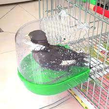 Parrot Bird Bath For Cage Bird Bath Bathtub Box Bird Cleaning Tool Cage Accessories Parrot Bath Transparent Mr Dog Cat In 2020 Bird Toys Bird Bath Cleaning Tools