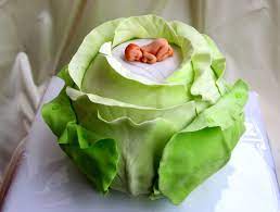 Cabbage Patch Baby Cabbage Patch Babies Baby Shower Cakes Baby Cake