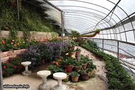 Oct 30, 2019 · located in brinchang, cactus valley is one of the biggest and most popular tourist destinations for cameron highlands. Cactus Valley