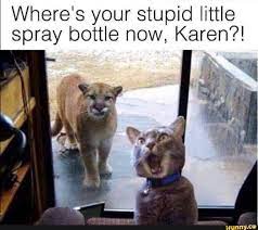 Where S Your Stupid Little Spray Bottle Now Karen Ifunny Funny Animal Pictures Cute Funny Animals Funny Animals
