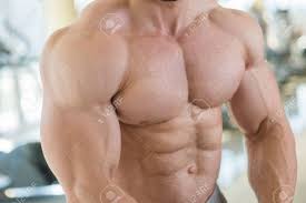 A.external inter… what muscle is deep to pectoralis muscles and are in between t… Muscular Torso And Arms Bodybuilder With Huge Muscles Strong Mana S Torso Picture Of Muscular Torso Arms And Abs Stock Photo Picture And Royalty Free Image Image 50986758