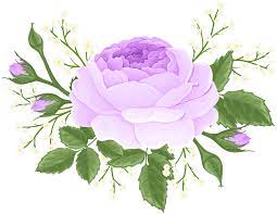 Pin By Nurcancuceoglu On Fotoshop Pink Flowers Background White Flower Png Flower Png Images
