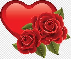We did not find results for: Heart Rose Valentine S Day Romantic Love Flower Arranging Floribunda Png Pngwing