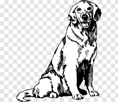 🖍 over 6000 great free printable color pages. Golden Retriever Puppy Coloring Book Drawing Breed Transparent Png
