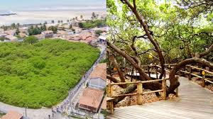 Diário do Nordeste - News update