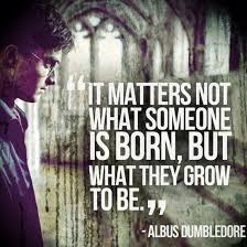20 Harry Potter Quotes That We Love Harry Potter Quotes Dumbledore Quotes Albus Dumbledore