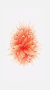 Latest Iphone 5se Wallpaper Rose Gold 5se Gold Iphone Latest Orangewallpaperiphone Rose Rose Gold Wallpaper Gold Wallpaper Iphone Flower Phone Wallpaper