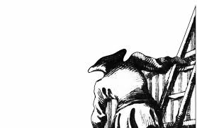 Image result for Droguetia ambigua