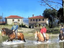 Things to do in arcos de valdevez, portugal: Quinta Do Fijo Gastezimmer Arcos De Valdevez