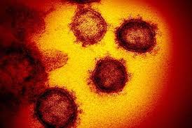 Sát thủ lừng danh diêm võ từng là nỗi khiếp sợ của giới giang hồ. Coronavirus Updates From Uw Medicine Newsroom
