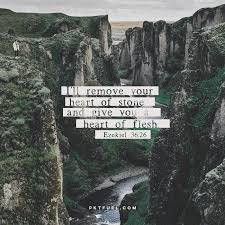 Pin On Quotes
