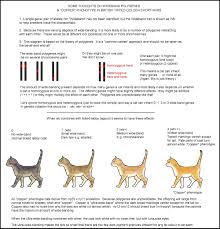 Colour And Pattern Charts